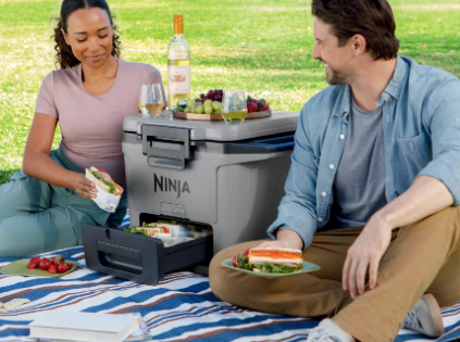 Ninja FrostVault 30QT/28L Hard Cooler - Slate Grey FB131EUGY