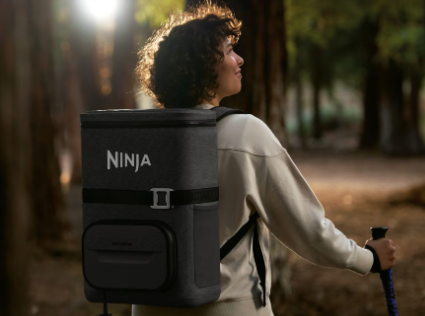 Ninja FrostVault Go 17 litre 24-Can Backpack Soft Cooler - Charcoal Grey