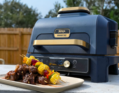 Sale Ninja Woodfire Pro Connect XL Electric BBQ Grill & Smoker with Stand & Cover