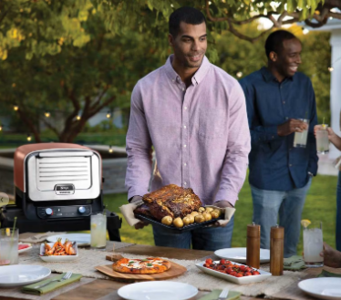 Ninja Woodfire Outdoor Oven, Artisan Pizza Maker and BBQ Smoker with Stand & Cover