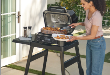 Ninja Woodfire Pro XL Electric BBQ Grill & Smoker with Stand & Cover